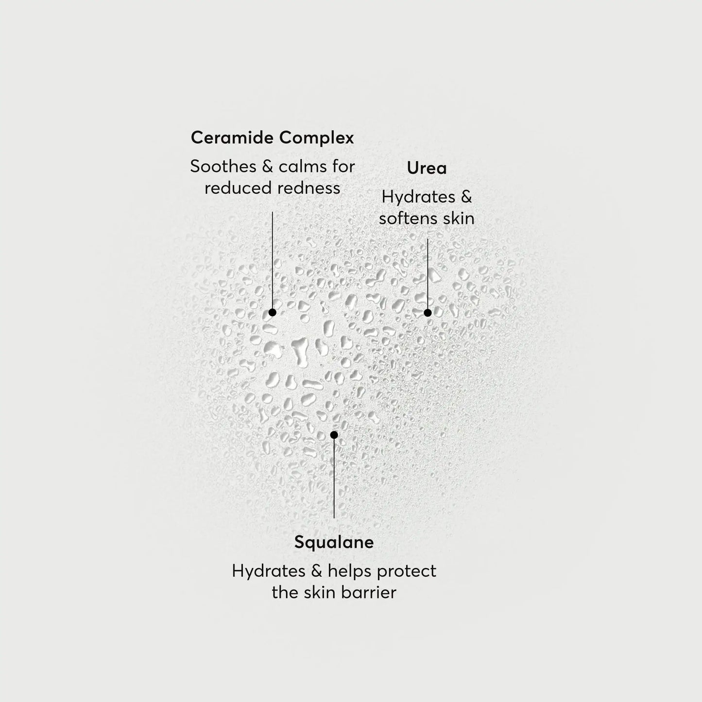 barrier-bounce-bi-phase-mist-q8 NATR-10167-Alt-Images-Barrier-Bounce-Bi-Phase-Toner-Mist_01.webp