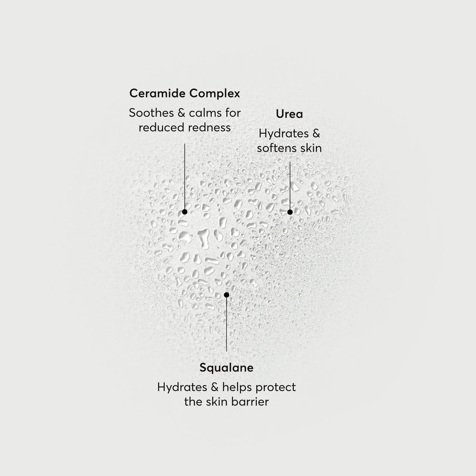 barrier-bounce-bi-phase-mist-q8 NATR-10167-Alt-Images-Barrier-Bounce-Bi-Phase-Toner-Mist_01.webp
