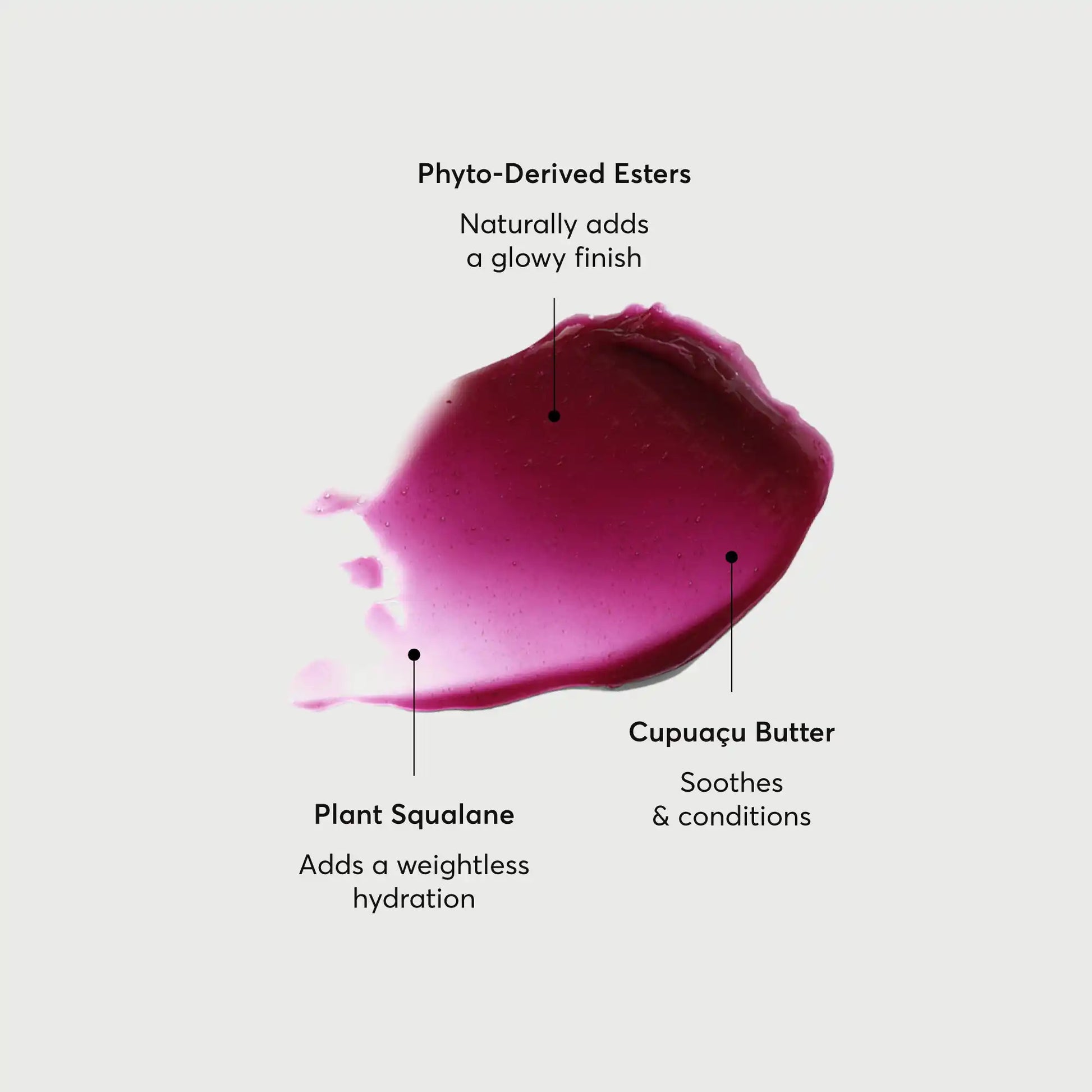 phyto-glow-lip-balm-jam-p0 NATR-60068-Alt-Images-Phyto-Glow-Lip-Balm-Jam-01.webp